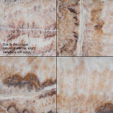 Ex Display - Cavira 44cm Marble Side Table - Walnut Side Table Mika-Core