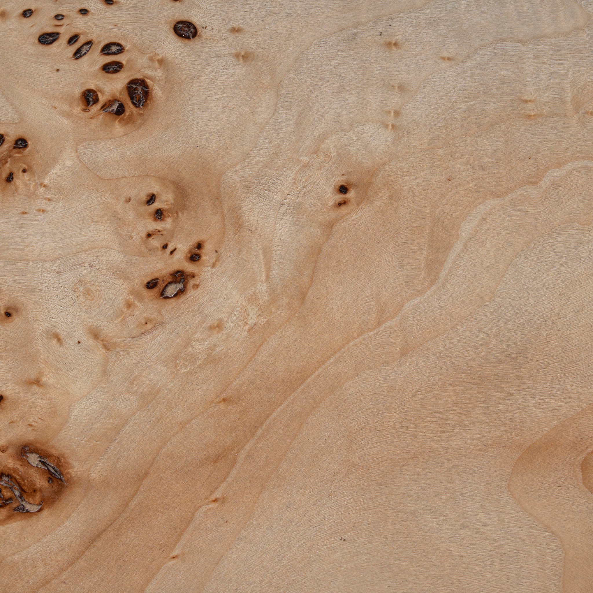 Ex Display - Sorella 51cm Bedside Table - Aspen Burls Bedside Table Mika-Core