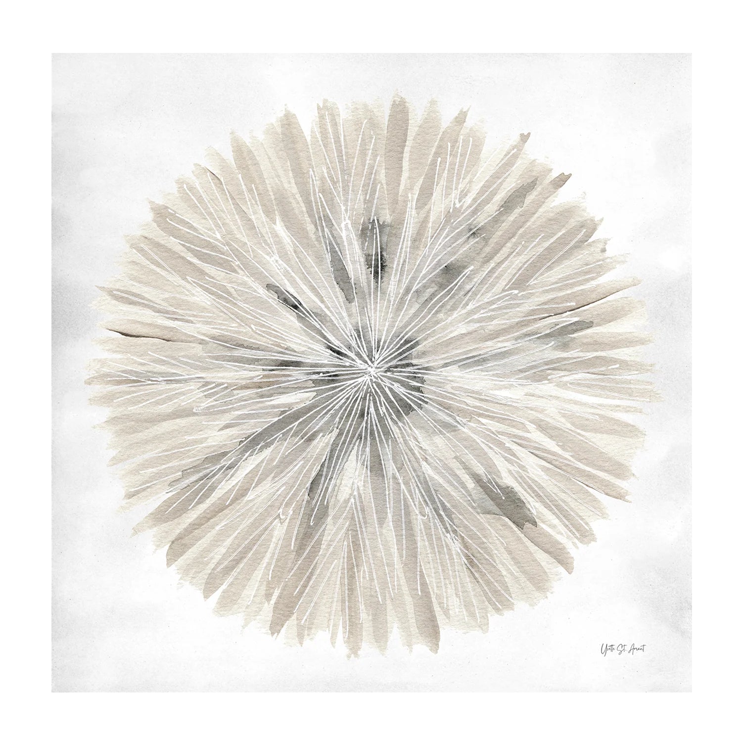 Set of 2 - Natures Pinwheel, Style A & B, By Yvette St. Amant Wall Art Gioia-Local