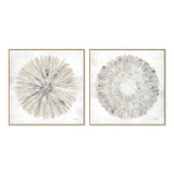 Set of 2 - Natures Pinwheel, Style A & B, By Yvette St. Amant Wall Art Gioia-Local 50x50cm Framed Canvas Oak