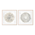 Set of 2 - Natures Pinwheel, Style A & B, By Yvette St. Amant Wall Art Gioia-Local 50x50cm Framed Poster Black