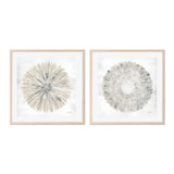 Set of 2 - Natures Pinwheel, Style A & B, By Yvette St. Amant Wall Art Gioia-Local 50x50cm Framed Poster Black