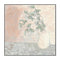 Vase Series Gum Branch, By Karen Cavania Wall Art Gioia-Local 50x50cm Framed Canvas Black