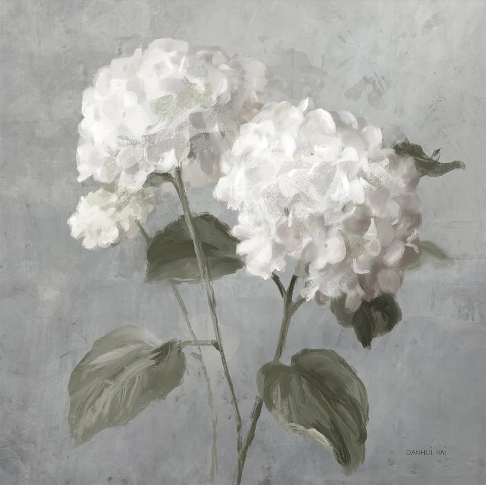 White Hydrangeas, By Danhui Nai Wall Art Gioia-Local 50x50cm Framed Canvas Gold
