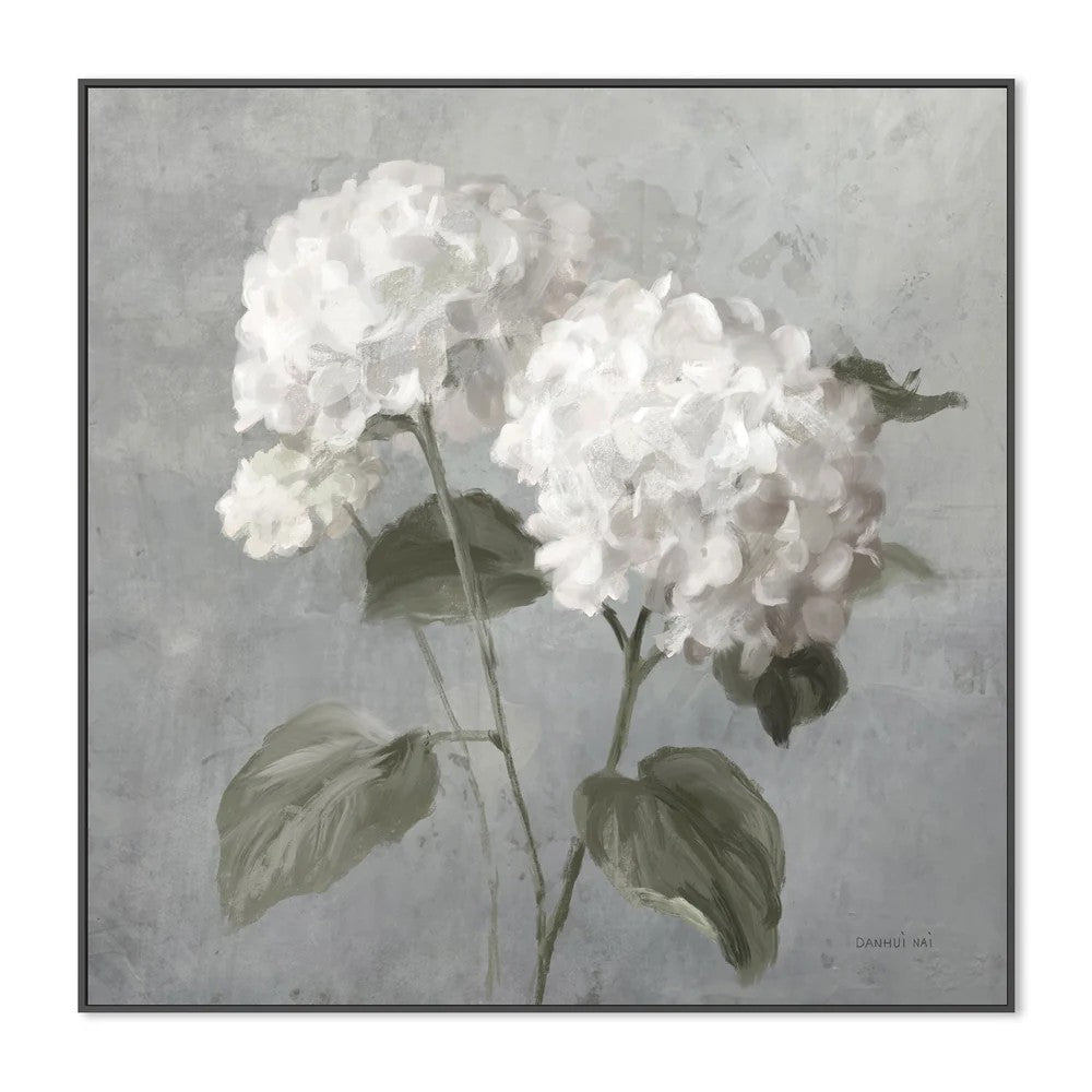 White Hydrangeas, By Danhui Nai Wall Art Gioia-Local 50x50cm Framed Canvas Black