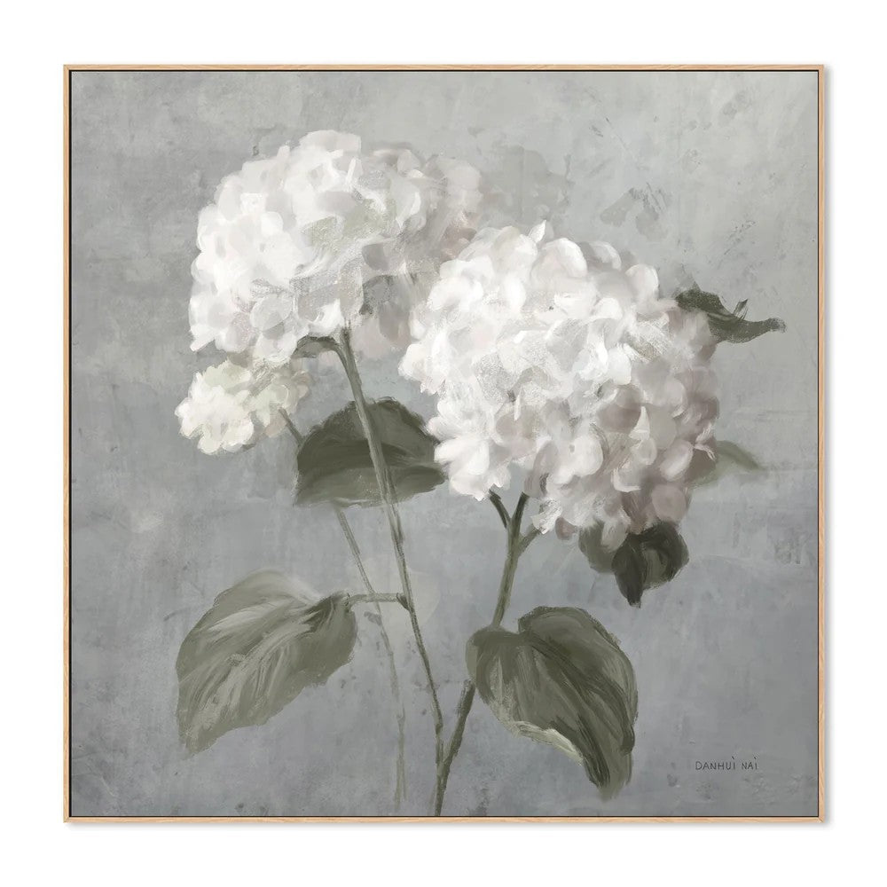 White Hydrangeas, By Danhui Nai Wall Art Gioia-Local 50x50cm Framed Canvas Oak
