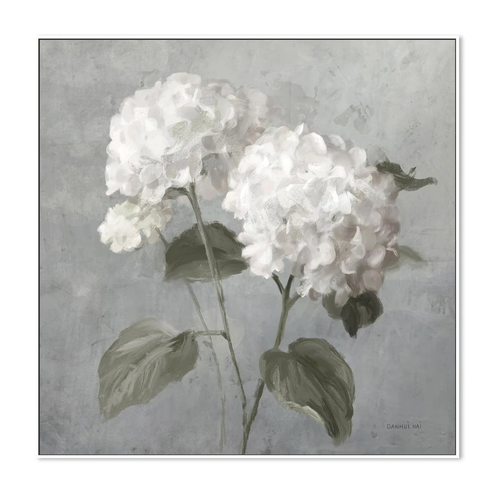 White Hydrangeas, By Danhui Nai Wall Art Gioia-Local 50x50cm Framed Canvas White