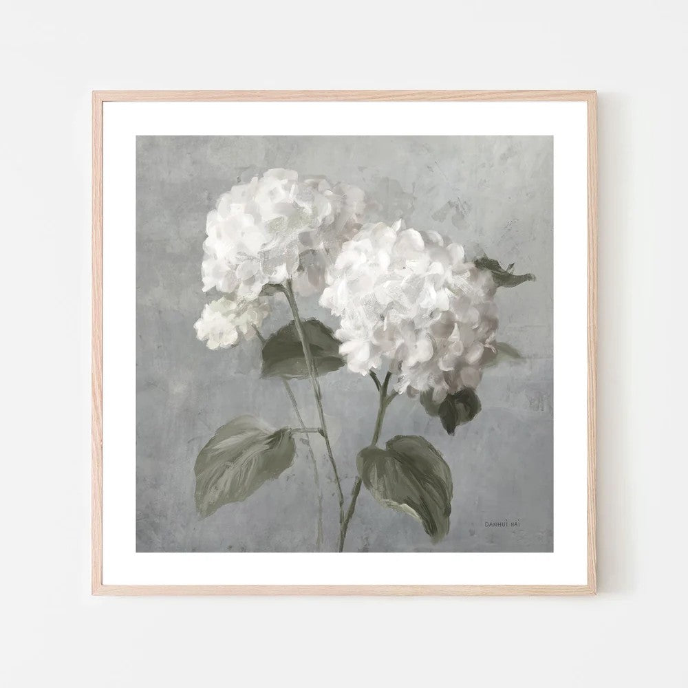 White Hydrangeas, By Danhui Nai Wall Art Gioia-Local 50x50cm Framed Poster Black