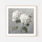 White Hydrangeas, By Danhui Nai Wall Art Gioia-Local 50x50cm Framed Poster Black