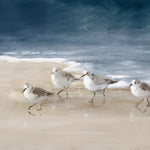 Shorebirds On Sand, By Danhui Nai Wall Art Gioia-Local Gold Framed Canvas 60x40cm