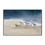Shorebirds On Sand, By Danhui Nai Wall Art Gioia-Local Black Framed Canvas 60x40cm