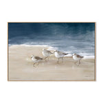 Shorebirds On Sand, By Danhui Nai Wall Art Gioia-Local Oak Framed Canvas 60x40cm