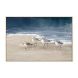Shorebirds On Sand, By Danhui Nai Wall Art Gioia-Local Oak Framed Canvas 60x40cm