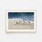 Shorebirds On Sand, By Danhui Nai Wall Art Gioia-Local Black Framed Poster 60x40cm