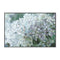 Subtle Shifts Hydrangea, By Katrina Pete Wall Art Gioia-Local 60x40cm Framed Canvas Black
