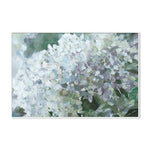 Subtle Shifts Hydrangea, By Katrina Pete Wall Art Gioia-Local 60x40cm Framed Canvas White