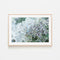 Subtle Shifts Hydrangea, By Katrina Pete Wall Art Gioia-Local 60x40cm Framed Poster Black
