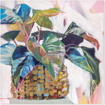 Abbeys Plant, By Jenny Westernhofer Art Wall Art Gioia-Local 50x50cm Framed Canvas Black