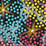 My Great Great Grandmothers Land, Style C, By Azeza Possum Wall Art Gioia-Local   