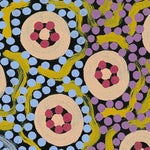 My Great Great Grandmothers Land, Style C, By Azeza Possum Wall Art Gioia-Local   