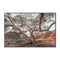 Twisting Gum Tree Wall Art Gioia-Local 40x60cm Framed Canvas Black