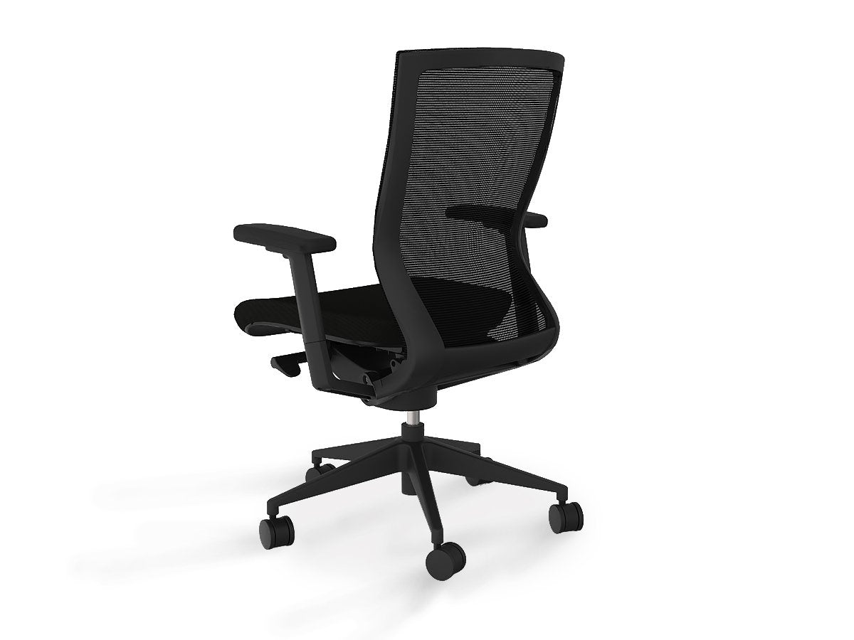 Balance Project Executive Mesh Ergonomic Office Chair with Arms - Black Office Chair OLGY-Local   