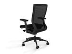 Balance Project Executive Mesh Ergonomic Office Chair with Arms - Black OC5342-OL