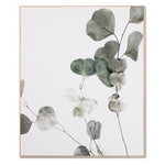 Eucalyptus Branch 1 Framed Canvas Wall Art Print Wall Art Warran-Local   