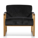 Hadiya Black Velvet Armchair - Antique Golden Frame Armchair Nicki-Core   
