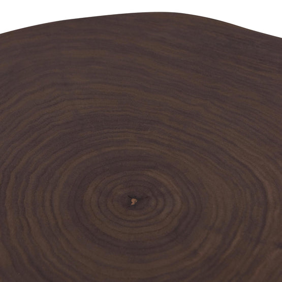 Medrano Side Table - Walnut Top and Black Leg ST6734-IG