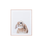 Bunny Portrait 2 Framed Wall Art Print AR5530-WA