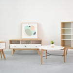 Evelyn Scandinavian Lowline 120cm TV Entertainment  unit TV/Entertainment Unit KD-Core   