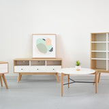 Evelyn Scandinavian Lowline 120cm TV Entertainment  unit TV/Entertainment Unit KD-Core   
