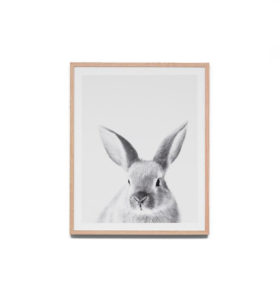 Lovable Bunny Framed Wall Art Print AR5527-WA